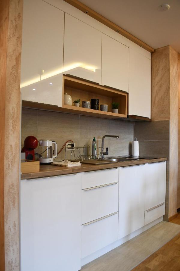 Apartman Dream Zlatibor Kültér fotó