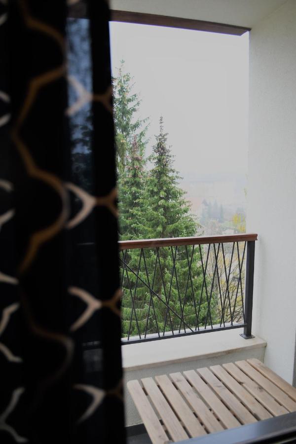 Apartman Dream Zlatibor Kültér fotó